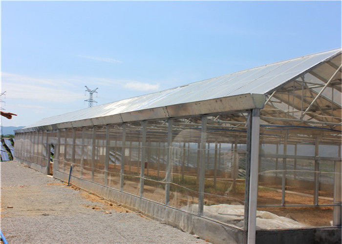 Ground Solar System For Agriculture , Plant Farm Solar PV Mounting Systems