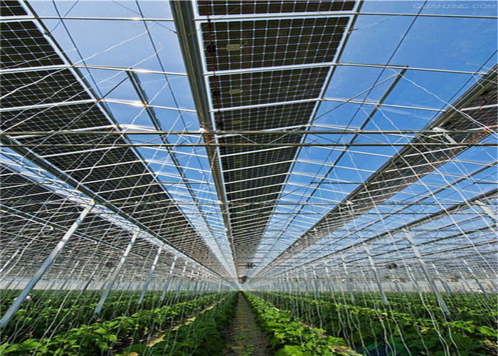 Indoor Greenhouse Solar System Farming Innovative Dynamic Photovoltaic
