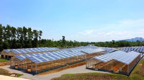 Latest company Solutions about 20kW Solar Greenhouse Project-Smart Agriculture Meets Clean Energy