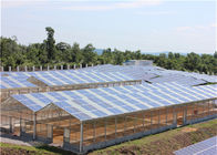 Single Span Greenhouse Solar System Agriculture Plant Warm House Metallic Structure