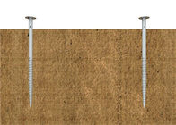OEM Hot Dip Galvanized Concrete Screw Piles Thickness 3~3.5mm Length 500~2500 Mm