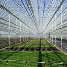 Outdoor Irrigation Agricultural Greenhouse Solar System