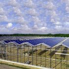 Ground Mounted Photovoltaic Solar System For Plant Farm