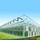 60m/S Max Wind Speed 4m PC Sheet Cover Greenhouse Solar System