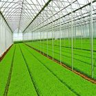 Corrosion Resistant Agricultural Greenhouse Solar System