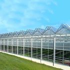 Hot Galvanized Steel Frame Thin Film Module Support Structure For Photovoltaic Greenhouses