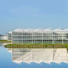 A Frame Outdoor Irrigation Agricultural Solar Powered Greenhouse