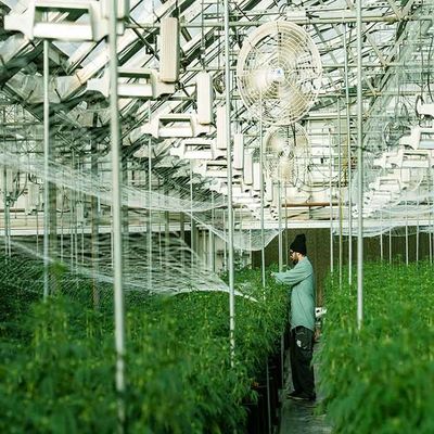 Good price Galvanized Stainless Steel Greenhouse Solar Mounting Structure online