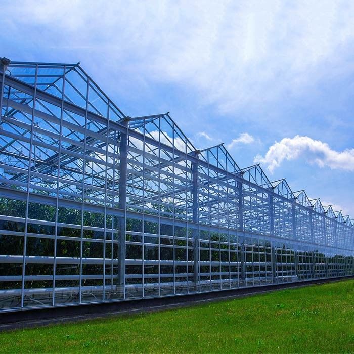 Rust Protection Anodized Solar System Greenhouse Metal Frame Photovoltaic System Walk-in Greenhouse