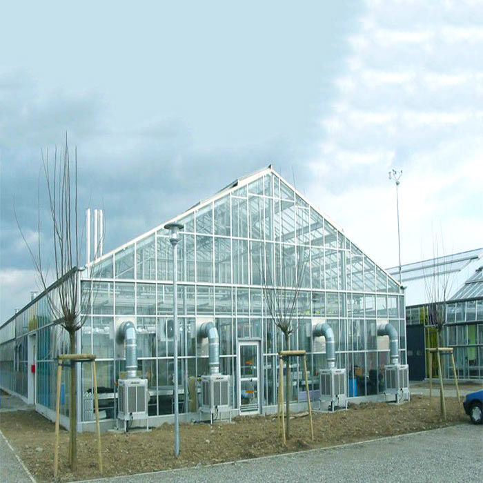 Galvanized Steel Frame Structure Greenhouse Solar System for Farm