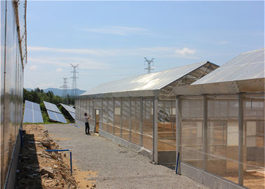 Good price Roof Mounted Greenhouse Solar System Photovoltaic Power Plants Agricultural Crops online
