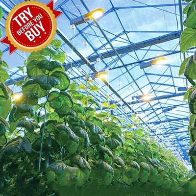 Good price CE Steel Frame Mounting Winter Greenhouse Solar System Tin Film Module Support Structure For Green Space online