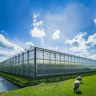 Good price Multi Purpose 500KW BIPV Greenhouse Solar System online