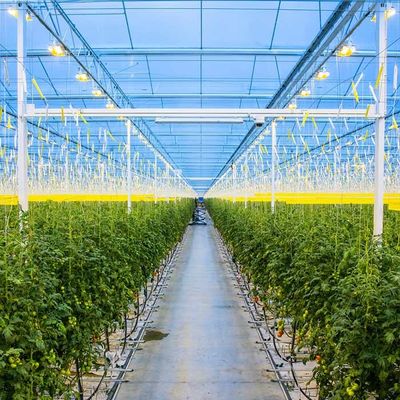 Good price Agricultural Galvanized Steel Frame Solar PV Greenhouse online