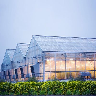 Good price Galvanized 12mm Thickness Film Greenhouse Solar System online