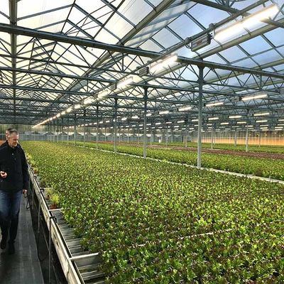 Good price Corrosion Resistance Agriculture Solar Energy Greenhouse 2.0mm 2.5mm Thickness online