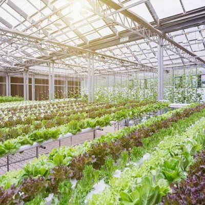 Good price 10-60 ° Horizontal Vertical Greenhouse Solar Systems 36.9m/S wind Load online