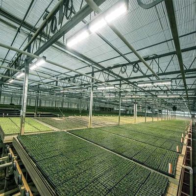 Good price A Frame Outdoor Irrigation Agricultural Solar Powered Greenhouse online