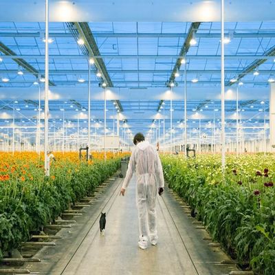 Good price Adjustable Light Sustainable Steel Film Greenhouse Solar System online